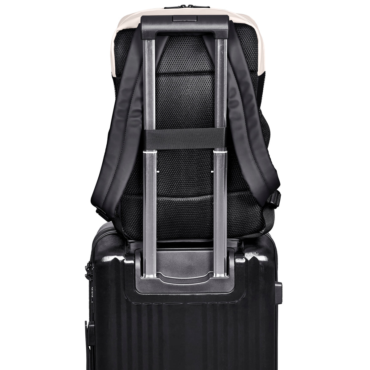 Andy Cartwright Cederberg Water-Resistant Laptop Backpack