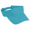 Arena Visor - Barron