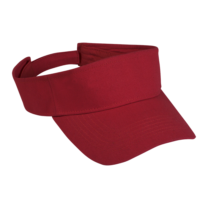Arena Visor - Barron