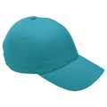 6 Panel Brushed Cotton Cap - Barron
