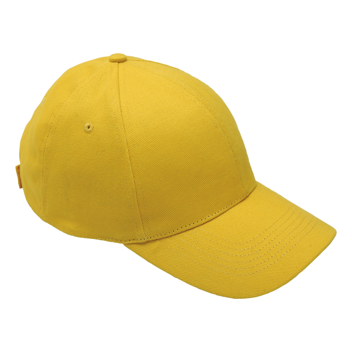 6 Panel Brushed Cotton Cap - Barron